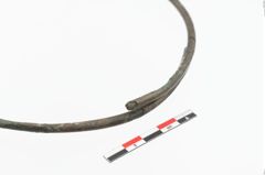 Foto von Bronzehalsring (NHMW-PRAE-023867)